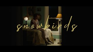 snowbirds - short film