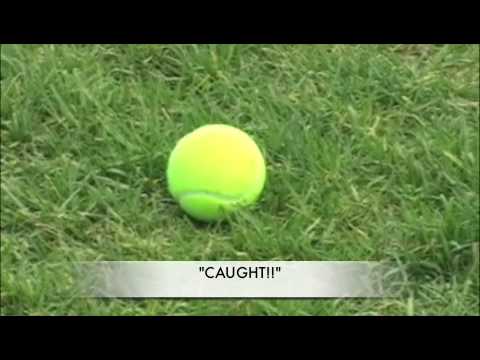 How to Catch A Pokemon