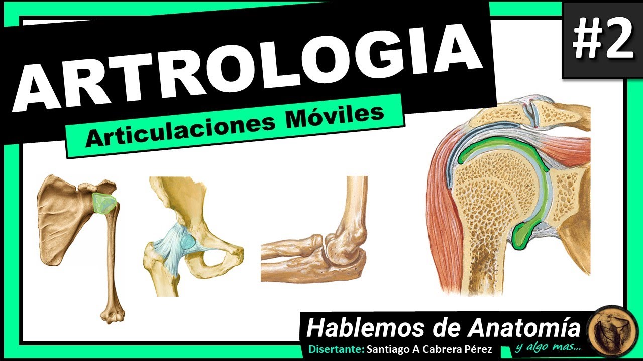 🔴👉 ARTICULACIONES MOVILES - DIARTROSIS 🟩 ARTROLOGIA #2  🟪Hablemos de Anatomía y Algo Mas...