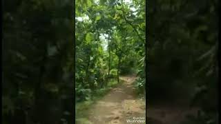 Download lagu Dil hum hum kare# shorts video mp3