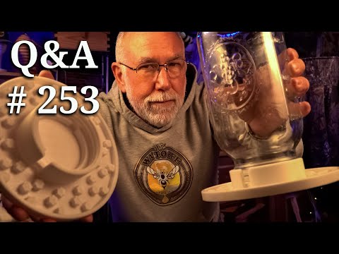 Backyard Beekeeping Q&A 253, Let's Talk  About Buying Virgin Queens with Cory Stevens.