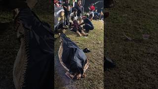 Download lagu MERINDING Penyembuhan kesurupan jaranan kuda lumping barongan #possessed mp3