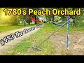 Metal Detecting a 1780's PEACH ORCHARD for Lost OLD Coins