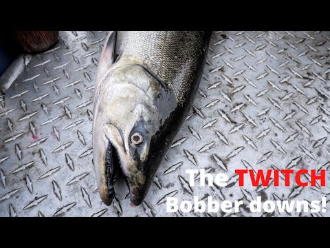 The KINGS Were Biting the TWITCH! * Bonus BOBBER DOWNS*