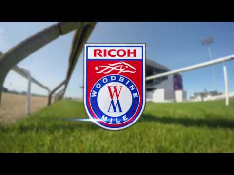 2018 | Ricoh Woodbine Mile Contenders