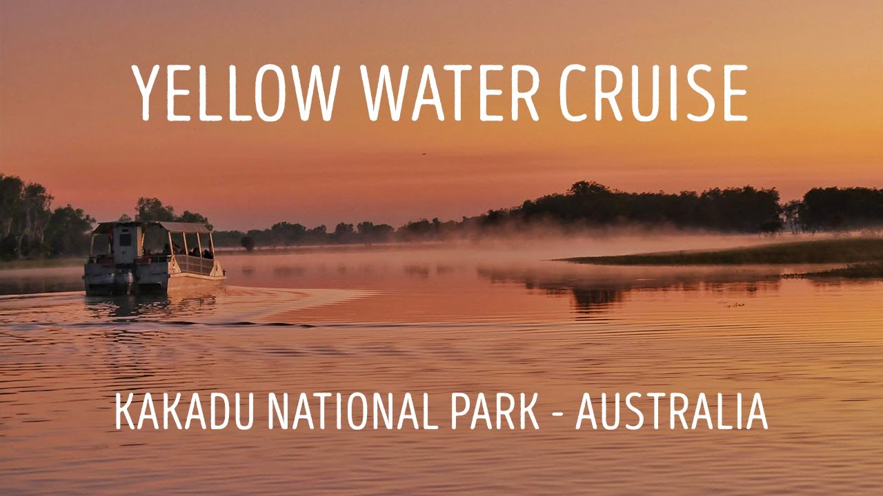 Experience the highlights of Yellow Water Cruise in Kakadu.