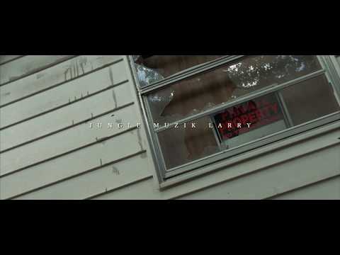 Jungle Muzik Larry X TG Kommas - Fly (Official Music Video)