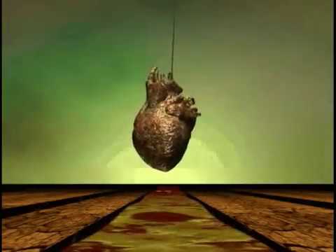 Dog Fashion Disco - Acid Memoirs (Official Music Video)