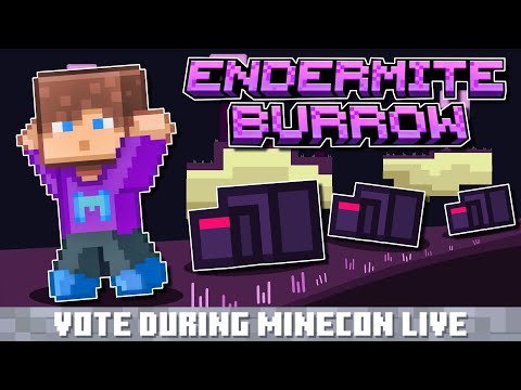 Mr. Mastery - Minecraft 1.21 End Update Biome Vote: The Endermite Burrow