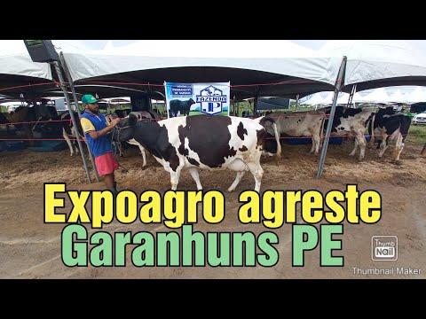 Mais um dia na expoagro agreste Garanhuns PE fazenda JP e Manoel Pinheiro fazendo a diferença.