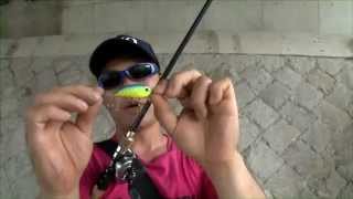 Воблер duo realis crank 48sr