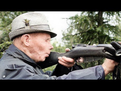 The White Death Sniper - The Deadliest Man of WW2