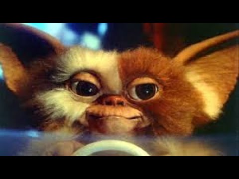 Gremlins / Full Movie Fact & Review In English / Zach Galligan / Phoebe Cates