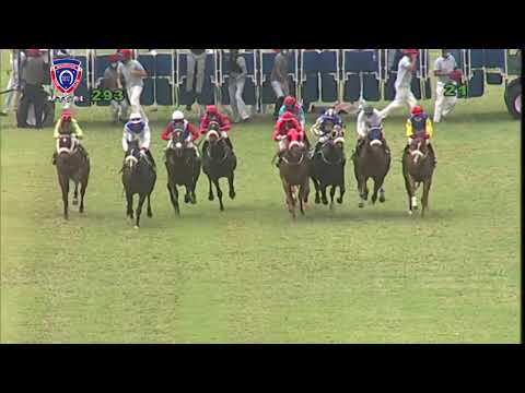 RM29 R3 | Memphis Mafia | P.C.Orffer