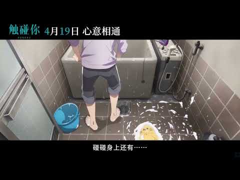 《未闻花名》原班人马！日本动画电影《触碰你》内地预告，定档04 19