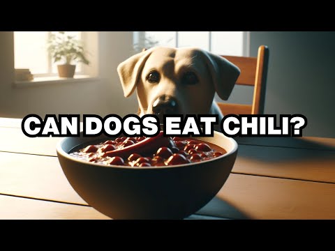 Can Dogs Eat Chili? Explained