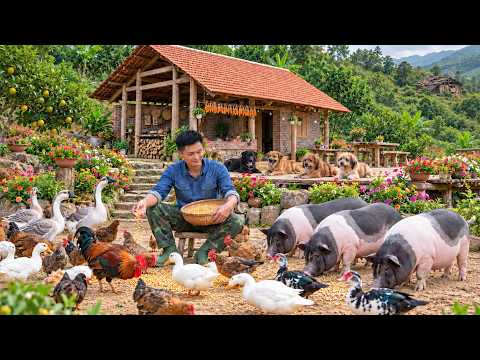 A Farm Full of Life &ndash; Feeding the Animals &ndash; Truong An&rsquo;s New Life