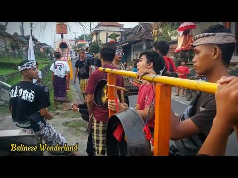 Bapak baju GAP sampe bengong nonton barong bangkung ngelawang