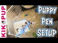 Puppy Pen Set Up - Professional Dog Training