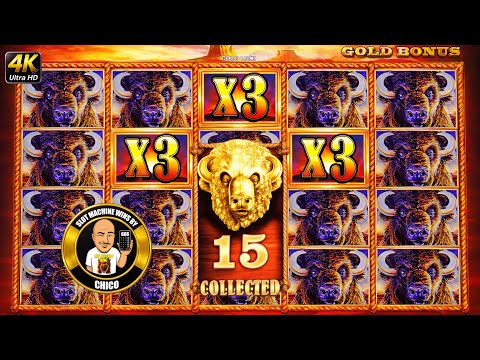 ALL 15 GOLD HEADS - The Buffalo King Hits HUGE JACKPOT