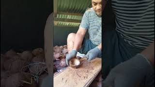 Download lagu Proses membuat kopra // bakore kelapa 🥥 #petani #petanimuda #kelapa #kopra #petanikelapa #kebun #fyp mp3