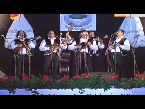 TS Salaš (Ivan Štivić) ~ BEĆARAC • Bećarfest Babina Greda 2012.