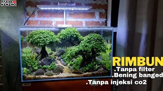 REVIEW "Aquascape tanpa injeksi co2,tanpa filter setelah 4 bulan"