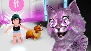 ПИТОМЦЫ НА ПОКАЗЕ МОД В РОБЛОКС  roblox Fashion Famous Frenzy