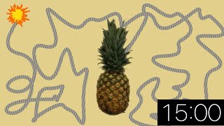 15 Minute Timer - Pineapple Explosion 🍍🍍