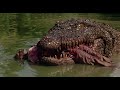 Killer Crocodile 1989 In Five Minutes