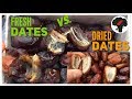 Fresh Dates vs Dried Dates