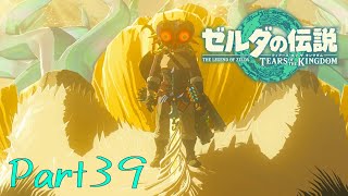 めちゃめちゃええシーンやのに仮面被っててすまん。-ゼルダの伝説 Tears of the Kingdom -part39-