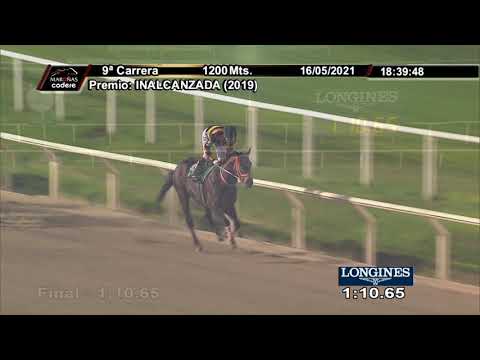 210516 c09 HONORATO (BRZ)