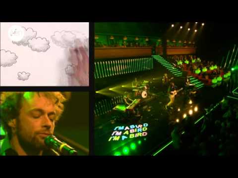 De MIA's 2012: Marco Z - I'm a bird