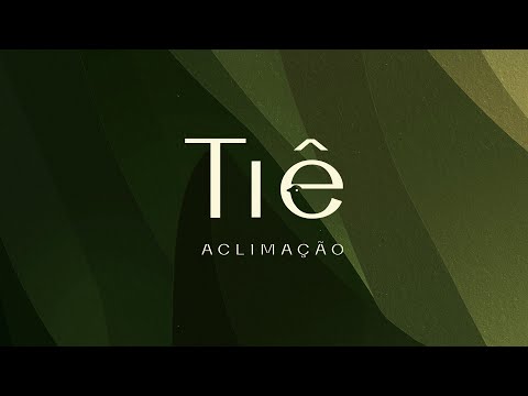 Tiê Aclimação