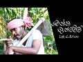 ratta-19-02-2017