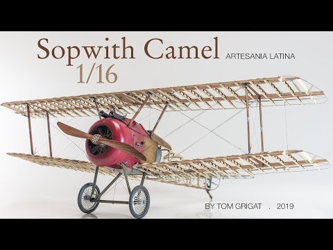 A Camel in motion - with surprising ENDING