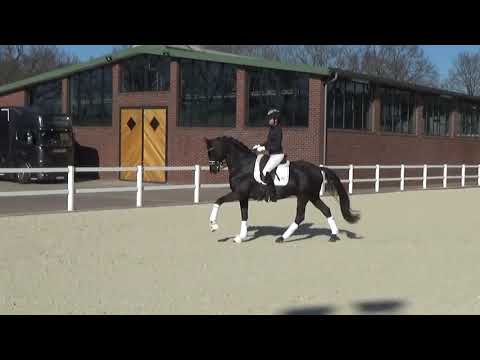 Millennium (DVD 2019)