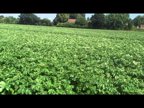 Sonntag der 05.072015 Das große Unwetter