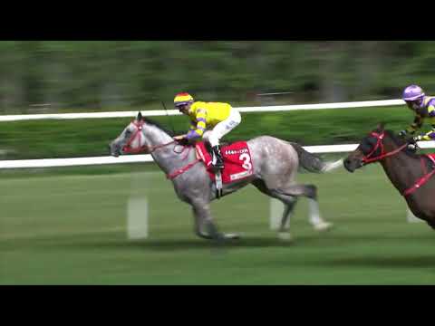 5/10/2022 (65) Ping Hai Galaxy - Z Purton