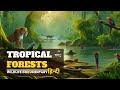 Amazon Rainforest - हिन्दी डॉक्यूमेंट्री | Wildlife documentary in Hindi