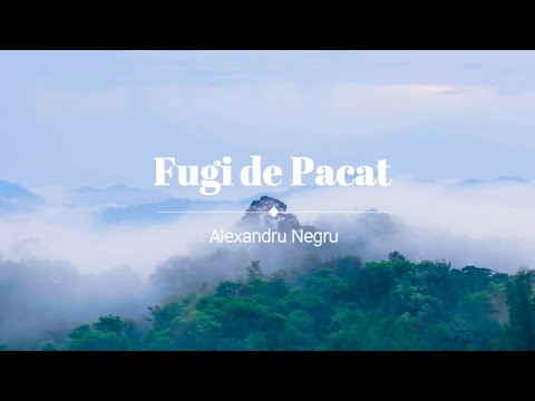 Negru Alexandru -Fugi de pacat.
