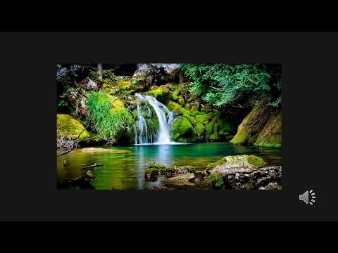 #81 UNIDOS EN ADORACIÓN MANANTIAL DE INSPIRACIÓN