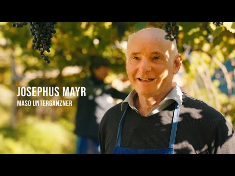 Pionieri dei Vini Alto Adige - Josephus Mayr