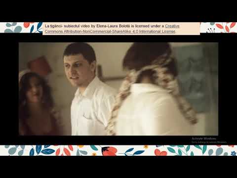 La tiganci  - rezumatul video ( cu imagini sugestive)