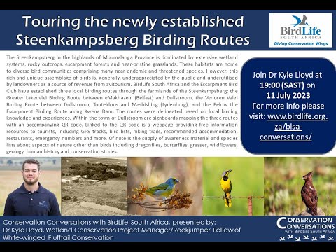 Steenkampsberg Birding Routes - Dr Kyle Lloyd (11 July 2023)