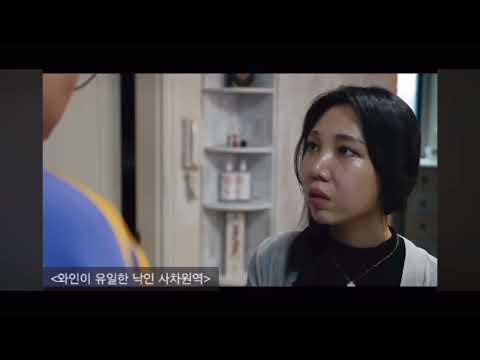 비디오 16