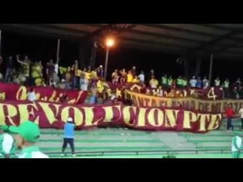 "Sufro de amor" Barra: Revolución Vinotinto Sur &bull; Club: Tolima &bull; País: Colombia