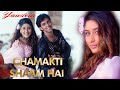Chamakti Shaam Hai Chhalakta Jaam Hai Sonu Nigam Alka Yagnik Yaadein Hindi Song