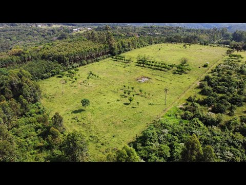 ÁREA DE TERRAS, 35964M² ÁREA TOTAL para venda EM CAMPO GRANDE
